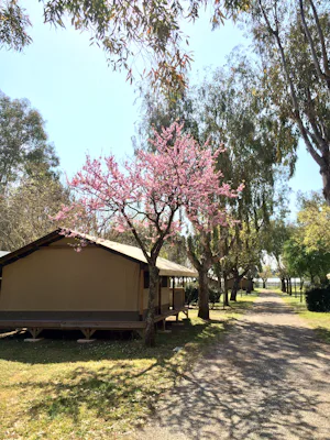 Camping Moulières