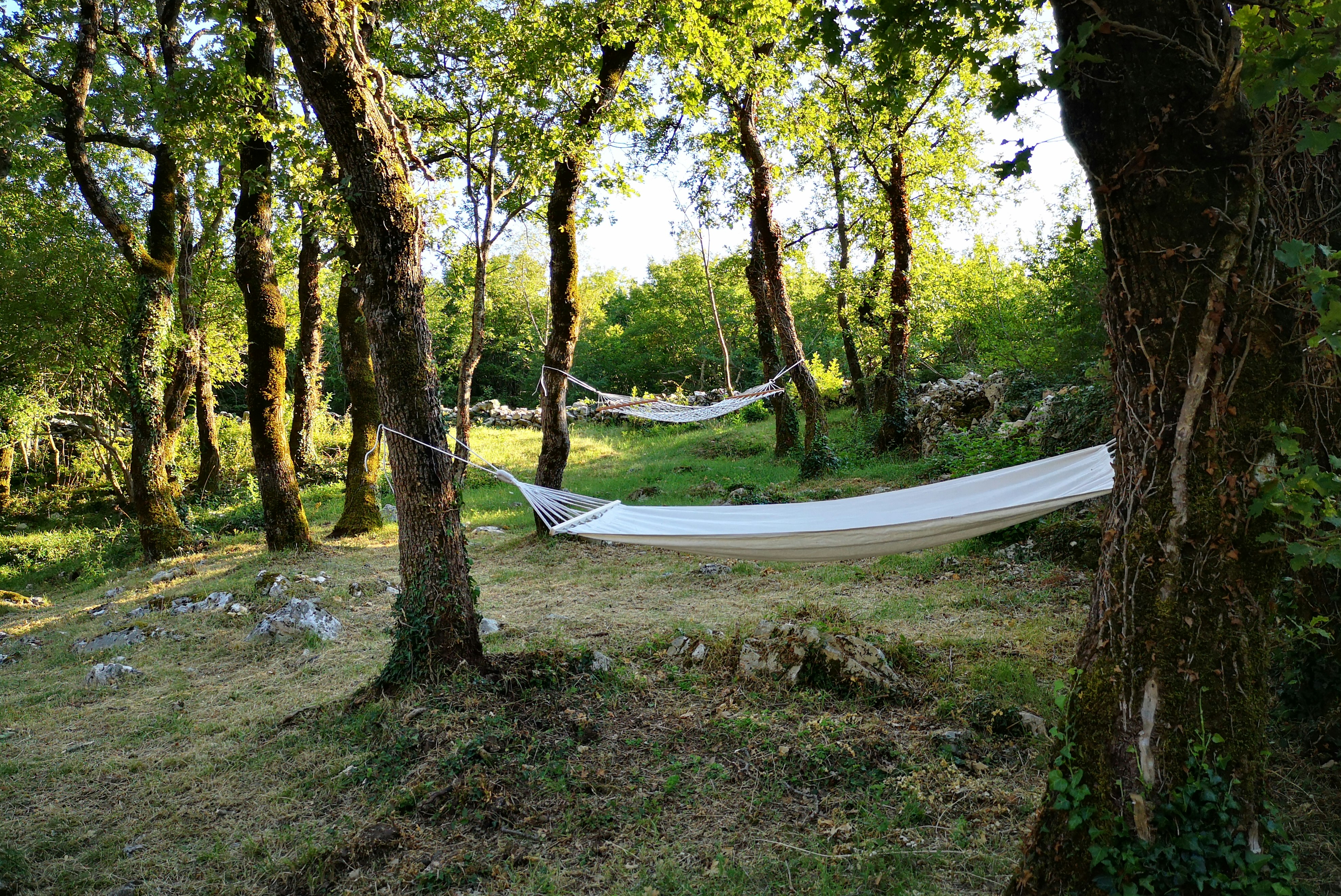 Hängematte im Campingbereich zwischen Bäumen, daneben ein Zelt und ein Weg durch den grünen Garten.