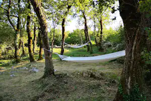 Hängematte im Campingbereich zwischen Bäumen, daneben ein Zelt und ein Weg durch den grünen Garten.