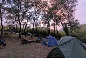 Zelte auf einem Campingplatz im Wald zwischen Bäumen, mit Sitzgelegenheiten und Picknicktisch am Boden.