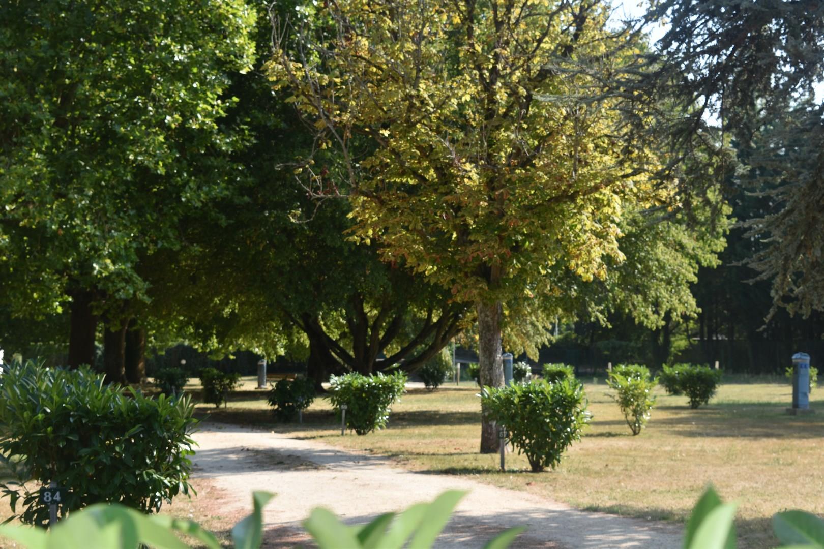 Camping Municipal Au Bord du Loir