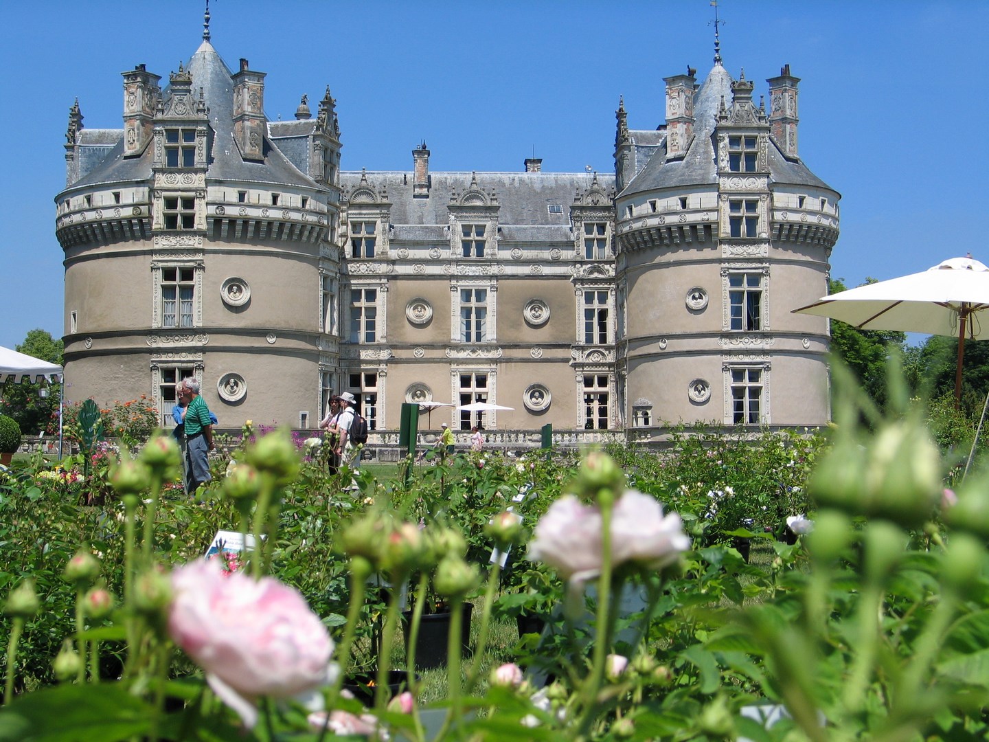 Ein Schloss mit Türmen hinter einem Blumenbeet, im Vordergrund grüne Pflanzen und rosa Blüten vor blauem Himmel.