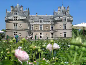 Ein Schloss mit Türmen hinter einem Blumenbeet, im Vordergrund grüne Pflanzen und rosa Blüten vor blauem Himmel.
