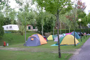 Zelte auf einer grünen Campingwiese zwischen Bäumen, im Hintergrund Wohnwagen und Sanitärgebäude mit grünen Türen.