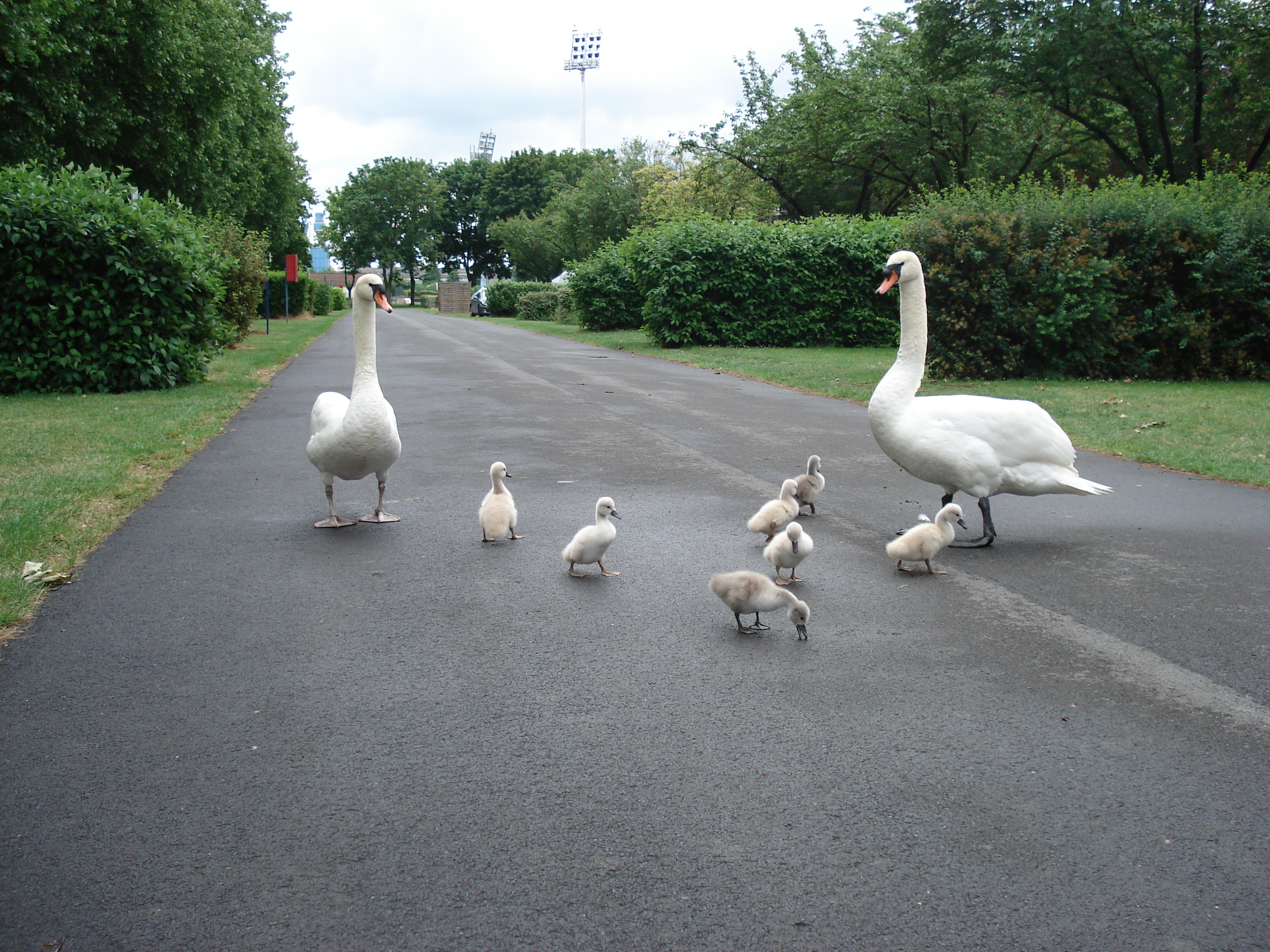 Camping municipal d'Epernay