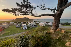 Wohnmobile auf einem Campingplatz am Meer, Blick von einem Grasweg mit Baum und Büschen im Vordergrund.