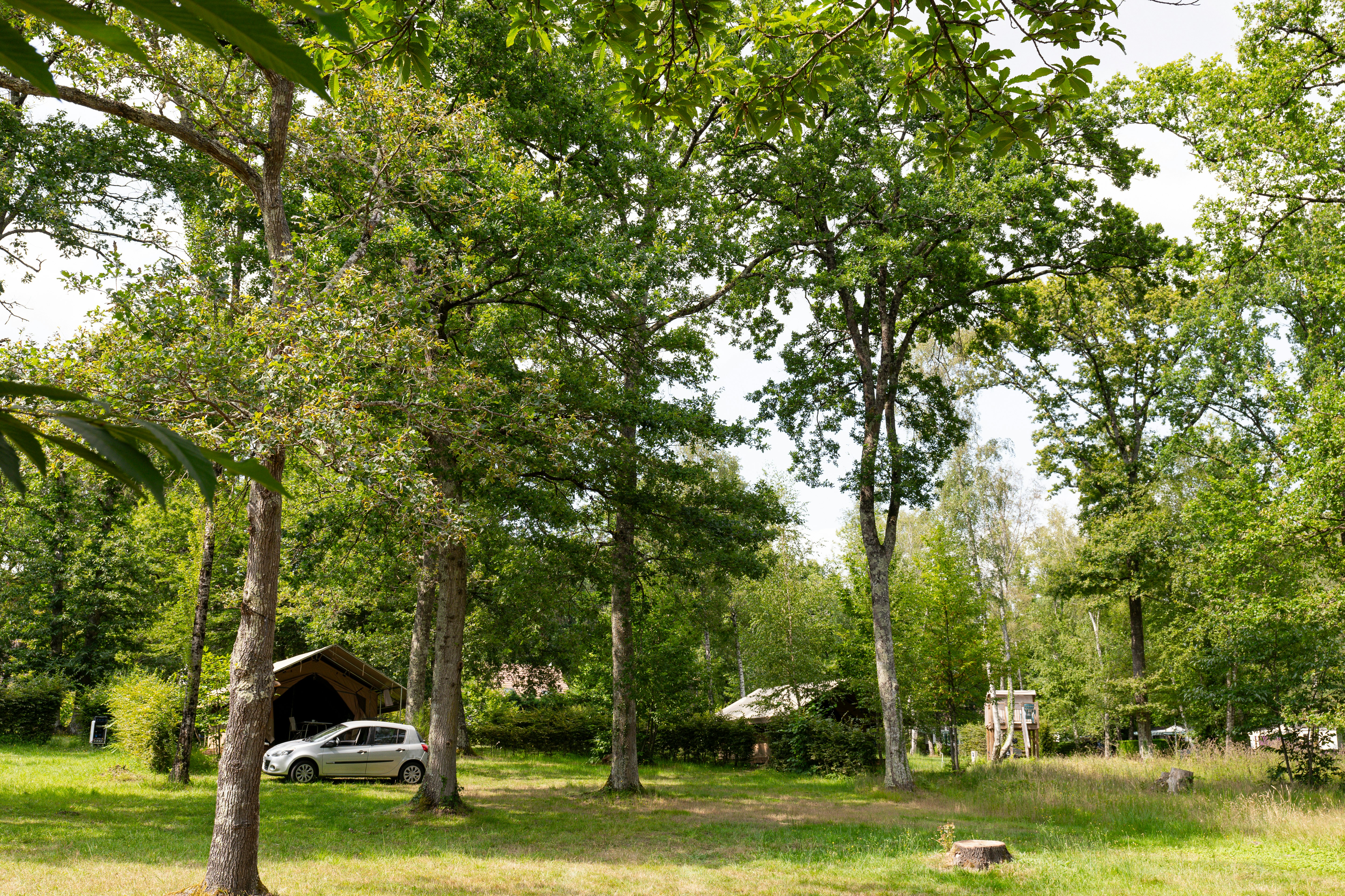 Camping Municipal de la Varenne - Wohnmobil- und Wohnwagenstandplätze auf der Wiese