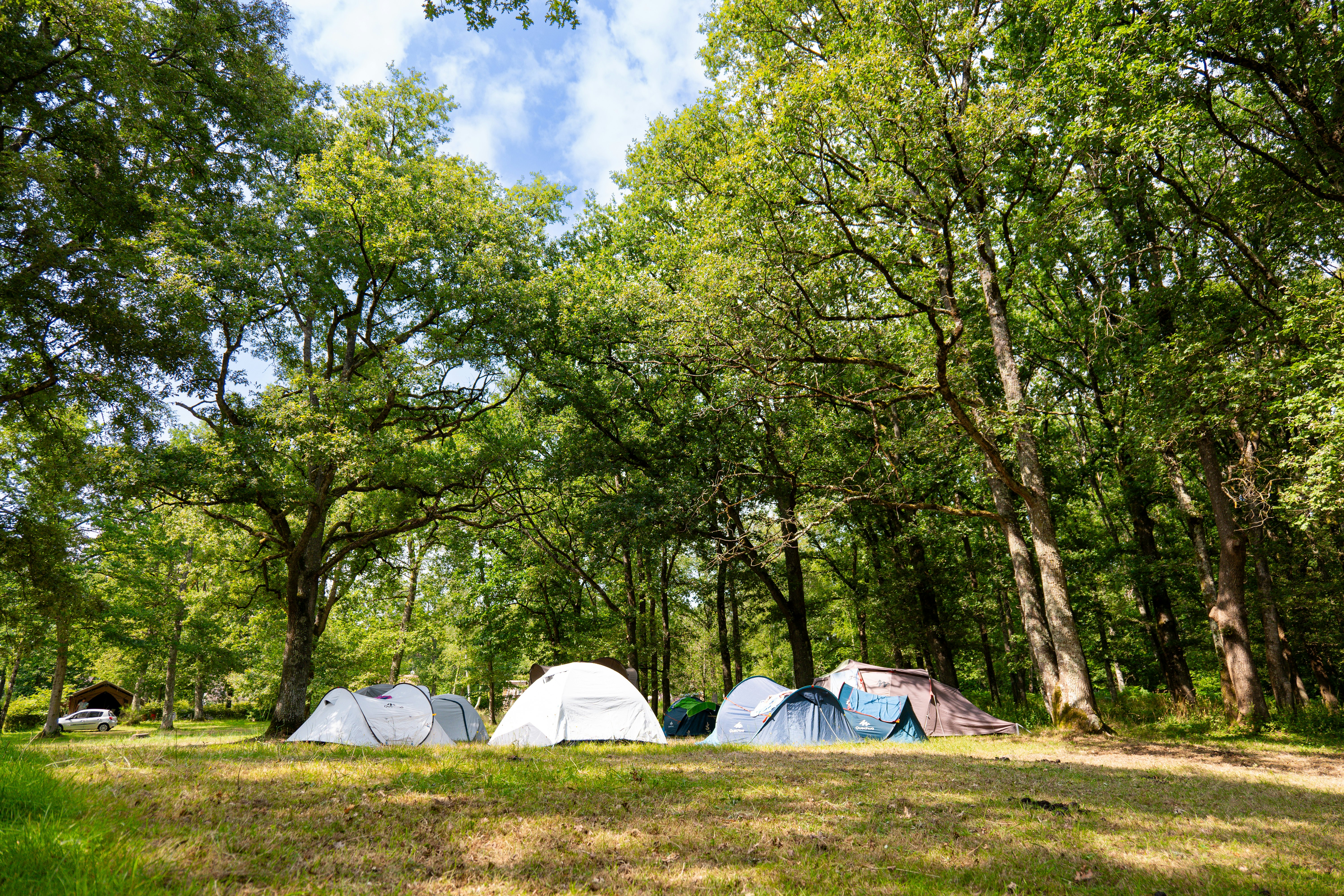 Camping Municipal de la Varenne - Zeltplätze auf dem Campingplatz
