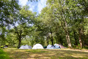 Camping Municipal de la Varenne - Zeltplätze auf dem Campingplatz
