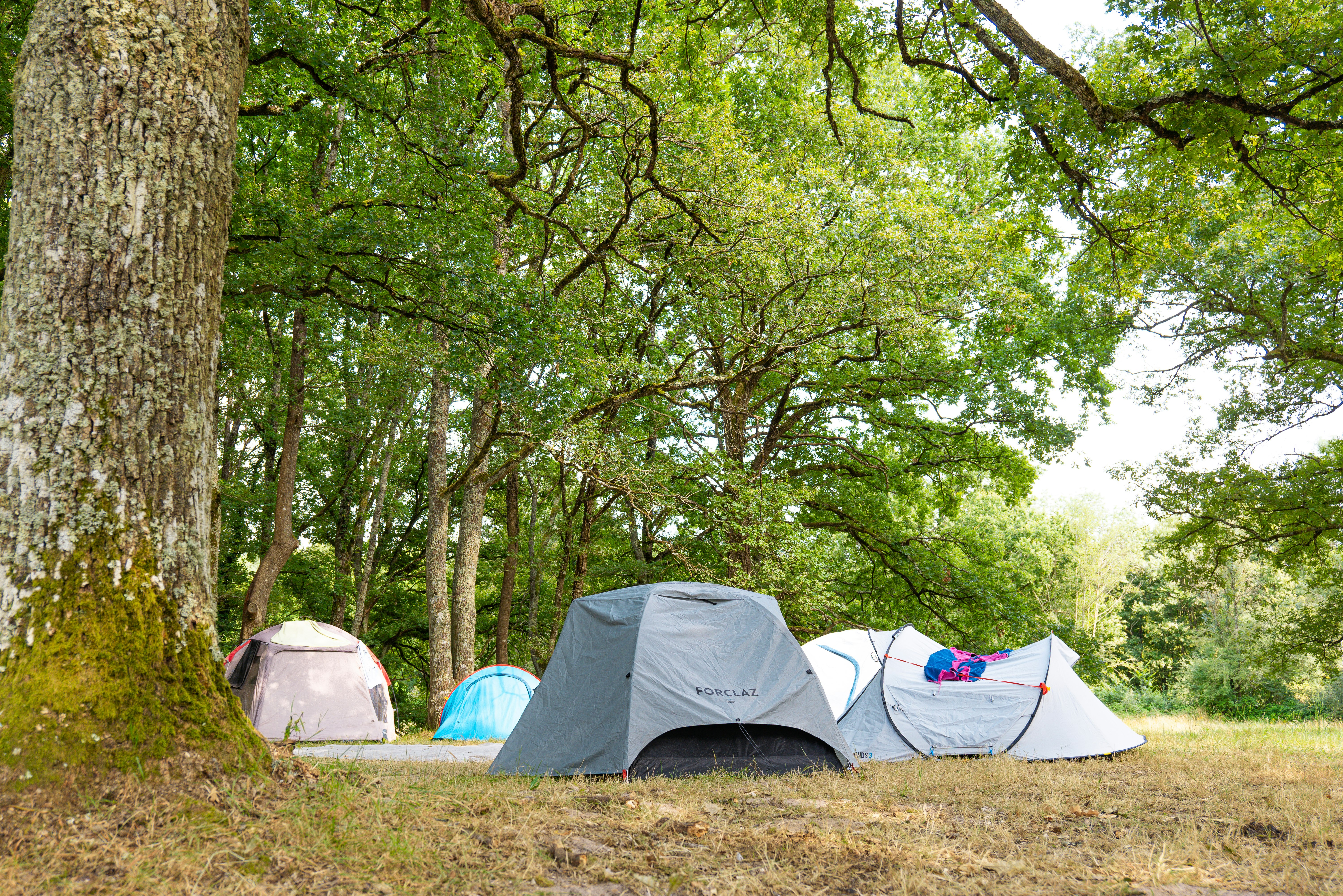 Camping Municipal de la Varenne - Zeltplätze auf dem Campingplatz