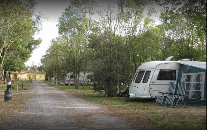 Camping Municipal de Loupian
