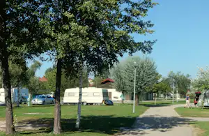 Wohnwagen auf einem Campingplatz entlang einer Allee mit Bäumen, Rasenfläche und einem Weg zwischen den Stellplätzen.