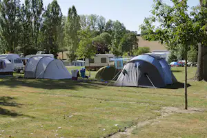 Zelte auf einem Campingplatz mit Wohnwagen im Hintergrund, umgeben von Bäumen und Rasenfläche.