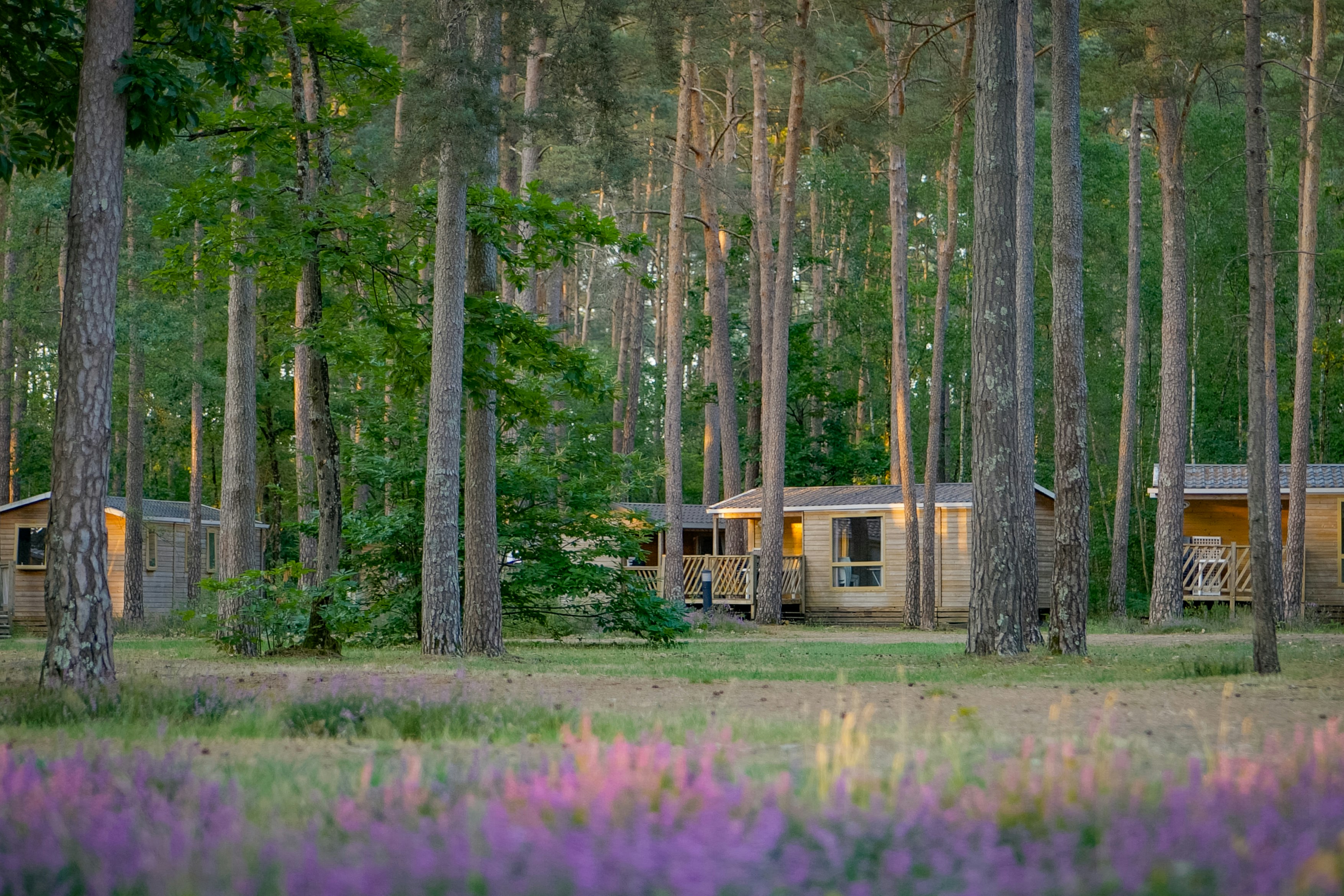 Onlycamp Camping Les Pins