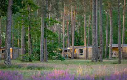 Onlycamp Camping Les Pins