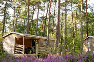 Onlycamp Camping Les Pins - Mobilheime zwischen den Bäumen auf dem Campingplatz