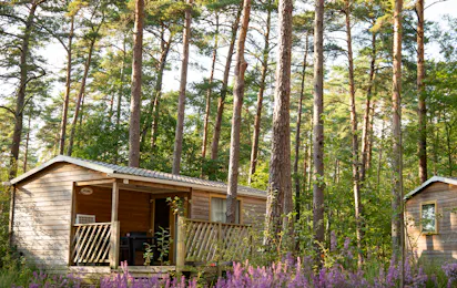 Onlycamp Camping Les Pins