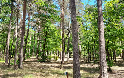 Onlycamp Camping Les Pins