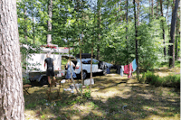 Onlycamp Municipal des Pins  Camping Municipal des Pins - Standplätze umgeben von Bäumen