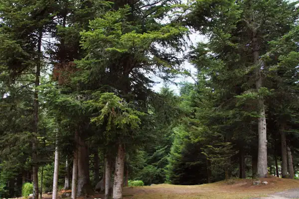 Camping du Herrenhaus