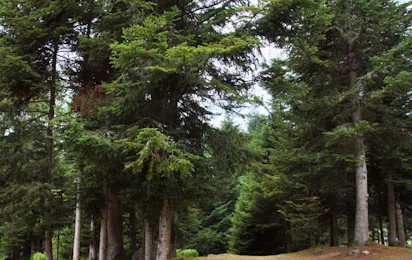 Camping du Herrenhaus