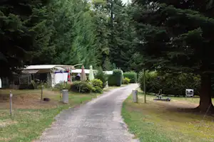 Campingplatz-Weg zwischen hohen Bäumen, daneben Stellplatz mit Wohnwagen und Markise sowie Gartenmöbeln.