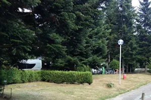 Camping Municipal du Hohwald - Wohnwagenparzelle in Waldstück