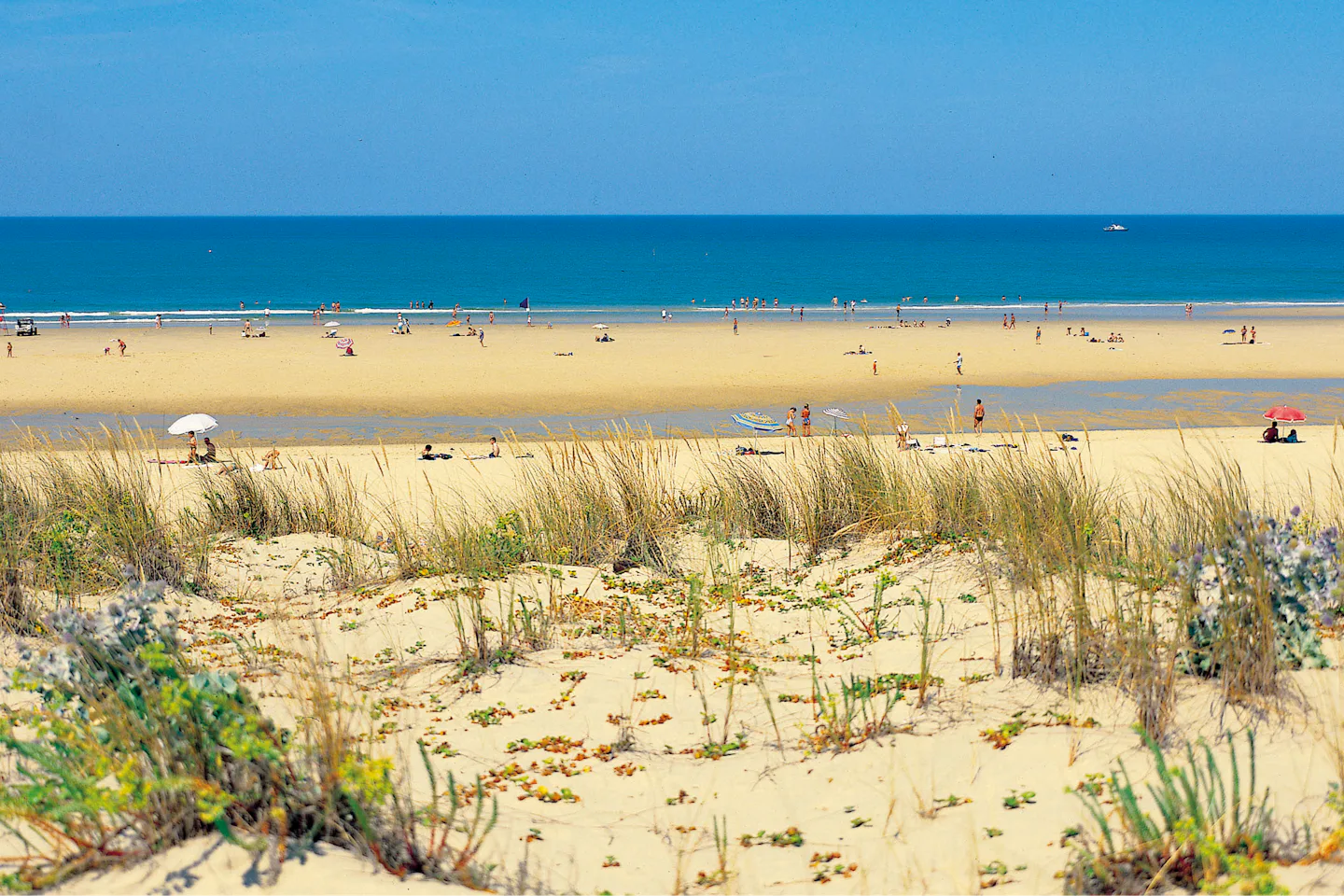 Camping Municipal La Grigne