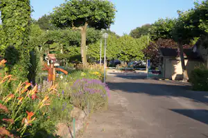 Gartenweg im Campingbereich mit Blumenbeeten, hohen Bäumen und Laternen, rechts ein Gebäude mit Dach.
