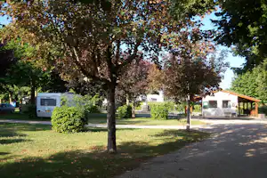 Wohnwagen und Gebäude auf dem Campingplatz, umgeben von Bäumen und Rasen, mit Weg und Hecke im Vordergrund.