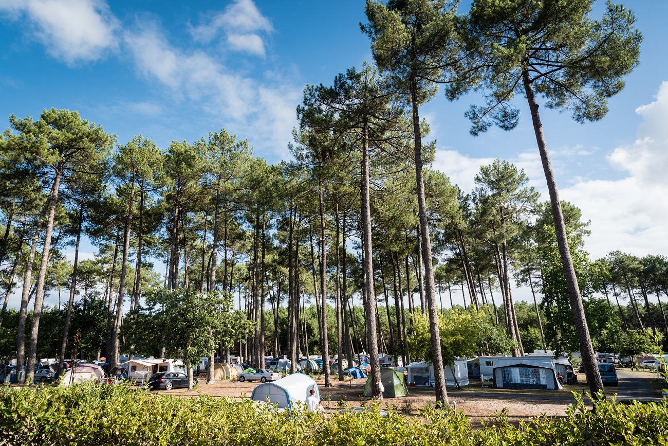 Camping Municipal Le Tatiou