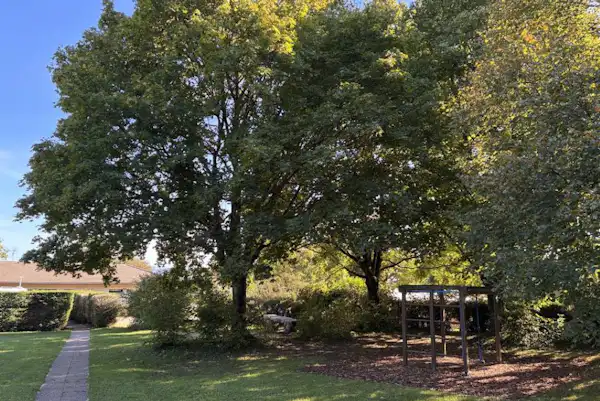 Camping Municipal Les Genêts (Gex)