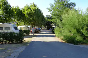 Camping Municipal Les Iles-de-Silon - Stellplatz vom Campingplatz im Grünen