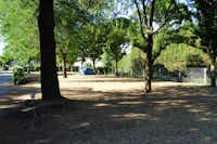 Camping Municipal Les Iles-de-Silon  -  Wohnwagen- und Zeltstellplatz vom Campingplatz zwischen Bäumen