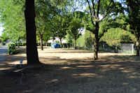 Camping Municipal Les Iles-de-Silon  -  Wohnwagen- und Zeltstellplatz vom Campingplatz zwischen Bäumen