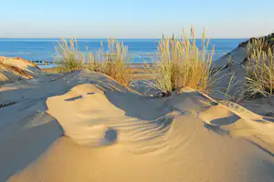 Sanddünen mit Strandgras und Fußspuren, dahinter das Meer und der helle Horizont.