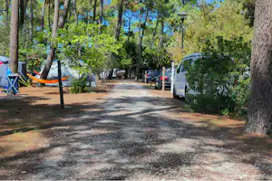 Campingplatz-Allee mit Zelt und Wohnwagen am Wegesrand, umgeben von Bäumen und Sträuchern.