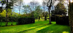 Grünes Campinggrundstück mit Rasen, Hecken und Bäumen, dahinter ein Weg zwischen den Grünflächen.