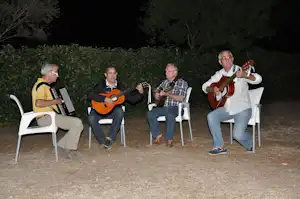 Vier Musiker sitzen auf weißen Stühlen im Freien und spielen Akkordeon, Gitarre und Geige vor Hecke und Bäumen.