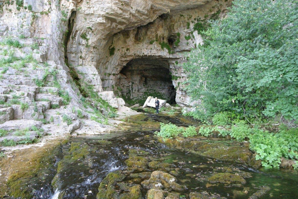 Felswand mit Höhle und Bachlauf, umgeben von Büschen und Moos am Ufer.