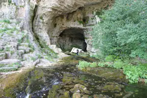 Felswand mit Höhle und Bachlauf, umgeben von Büschen und Moos am Ufer.