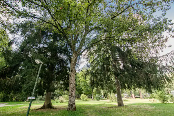 Onlycamp Camping Les Thézières