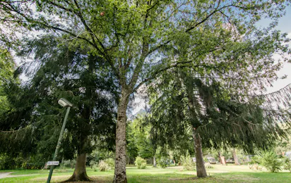 Onlycamp Camping Les Thézières