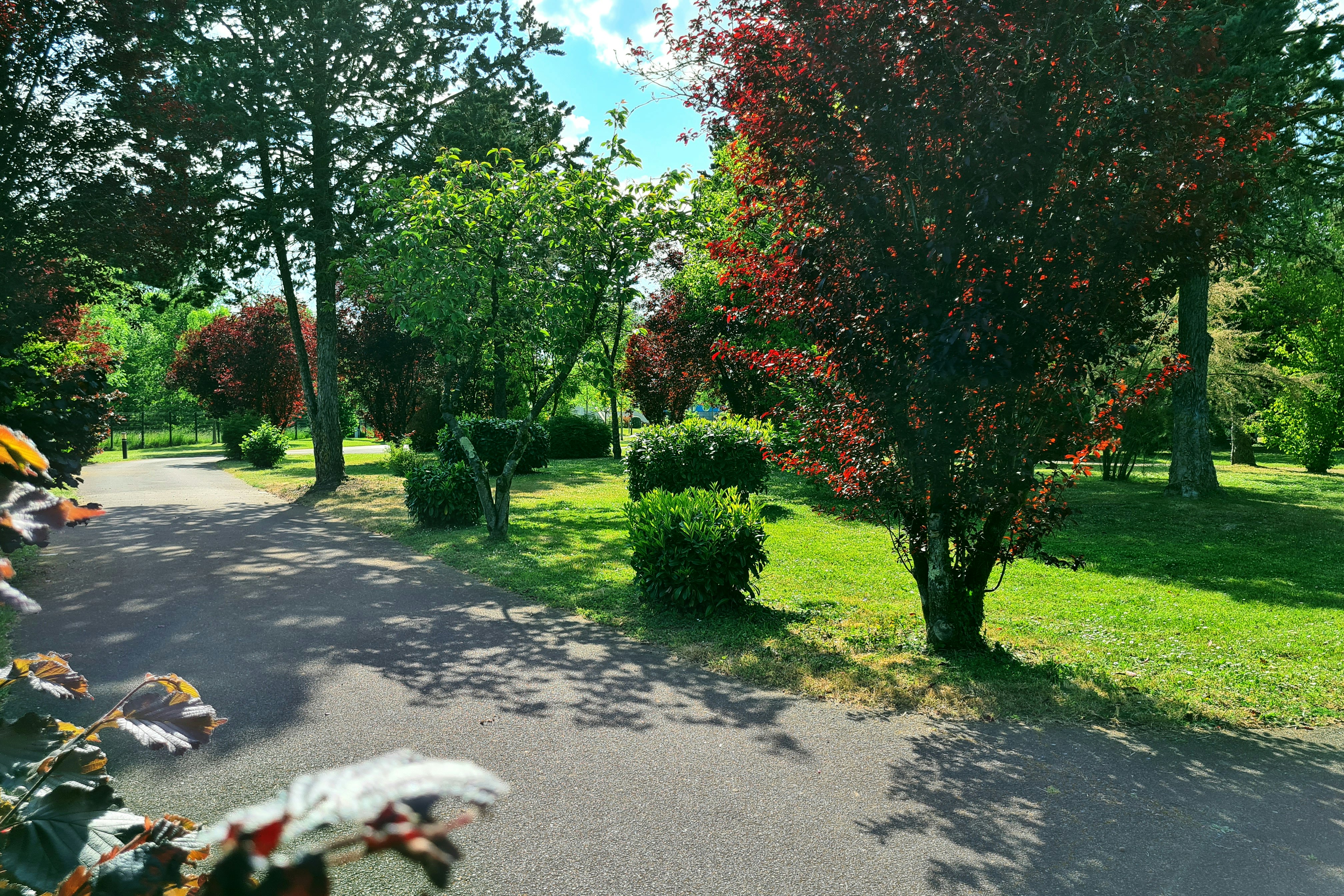 Camping Municipal Val de Braye - Standplätze mit Stromanschluss auf dem Campingplatz