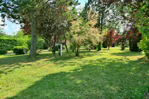Grünes Campinggelände mit Rasen, hohen Bäumen und bunten Blüten, im Hintergrund ein kleiner Stromkasten.