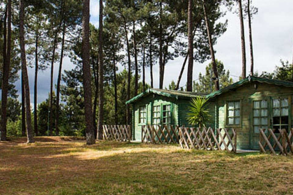 Grüner Camping-Bungalow mit Holzveranda und Zäunen im Wald, umgeben von hohen Bäumen und Rasenfläche.