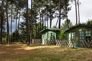 Grüner Camping-Bungalow mit Holzveranda und Zäunen im Wald, umgeben von hohen Bäumen und Rasenfläche.