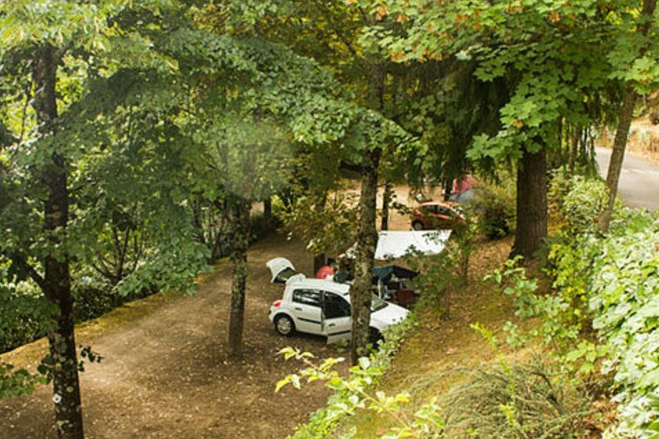 Schmale Zufahrt mit Bäumen und Laub, dahinter ein weißes Auto und ein Wohnwagen am Campingplatz.