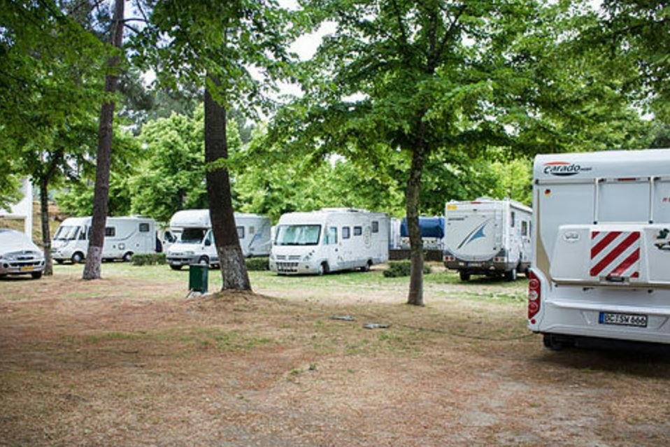 Wohnmobile auf einem Campingplatz zwischen Bäumen, mit Grasfläche und mehreren geparkten Fahrzeugen im Hintergrund.
