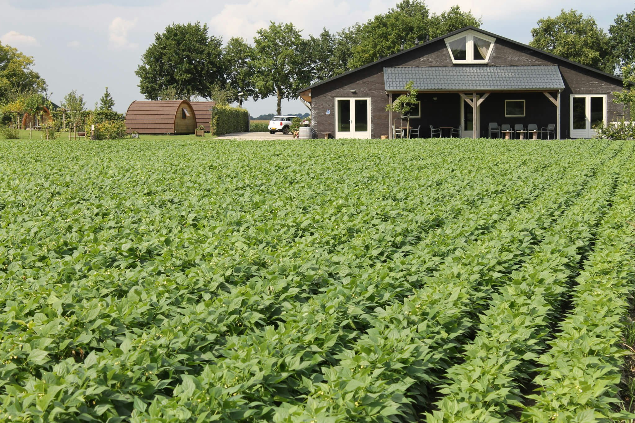 Camping Munnickenheide - Felder auf dem Campingplatz